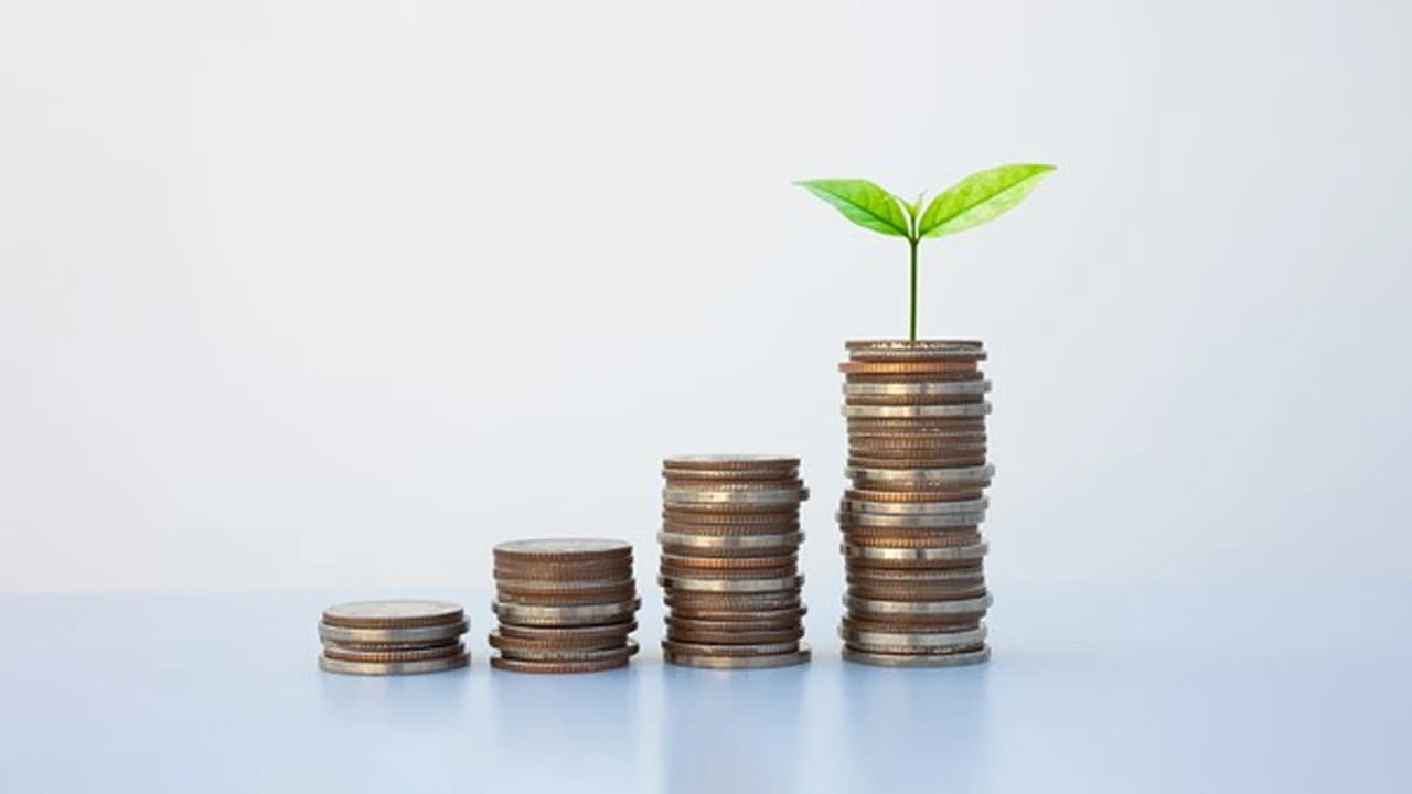 استراتيجية جديدة في الإمارات تعزز المسؤولية المجتمعية حتى 2031